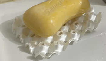 Полая мыльница