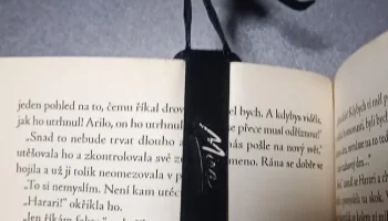 Huntr/x Bookmarks 2