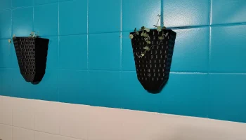 Wall Vase