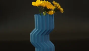 Weird vase 1