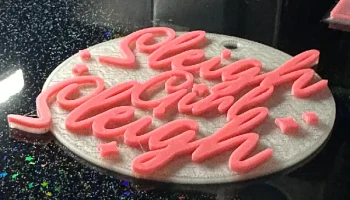 Сани Девушка Сани 1