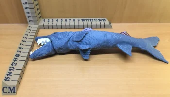 Barracuda 7