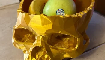 Полунизкополигональная чаша с черепом