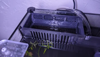 Настройка фильтра Fluval Spec V MBBR