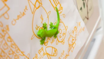 Магнит на холодильник Gecko DeskPal 1