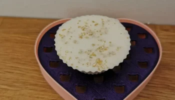 Сердце из мыльницы для кошек 4
