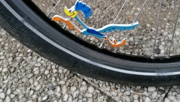 Roadrunner