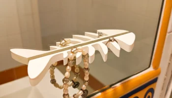 Крючки для позвоночника 8