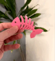 Гибкая костная рыба 1