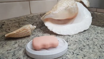Мыльницы Мыльницы