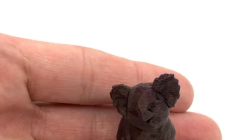 Коала Лоу (иш) Поли Коала Лоу (иш) Поли