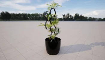 Bee's Vase