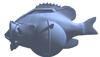 Синежаберная граната 1
