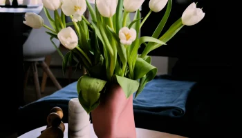 Vase V3 1