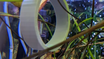 fish hoop