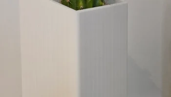 Кактус ваза