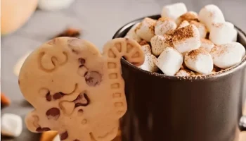 Рождественская формочка для печенья Джинджер и Хо-хо