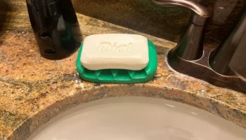 Soap Dish