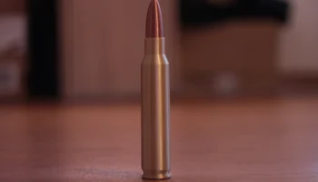 Коробка .223 РЭМ 2