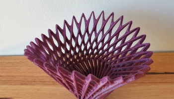 Fan vase 1