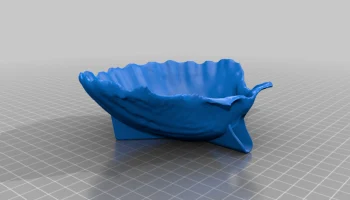 Мыльница из морской ракушки