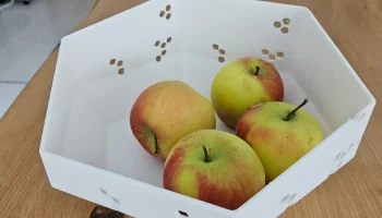 Fruit bowl 2