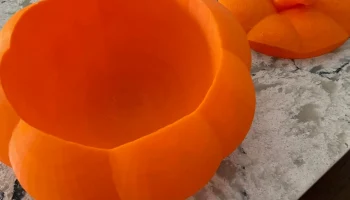 Тыквенная миска с крышкой 2