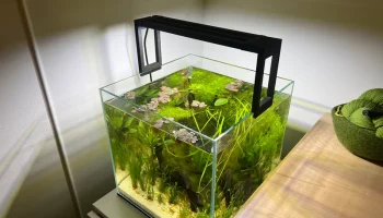 Крепление для аквариумного освещения NICREW
