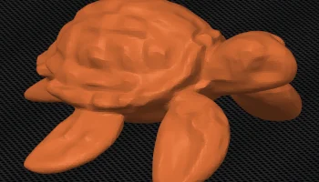 Sea Turtle