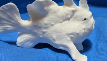 Frogfish