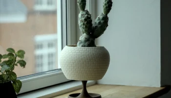 Pot 22