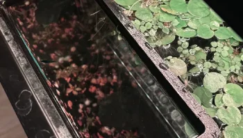 Модульное барьерное кольцо с плавающей перегородкой для ...