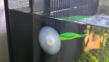 Fluval 6 Gal Betta премиум-защита/проставка для аквариума Fluval 6 Gal Betta премиум-защита/проставка для аквариума