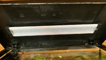 Держатель для фонаря Roxin Fish Tank