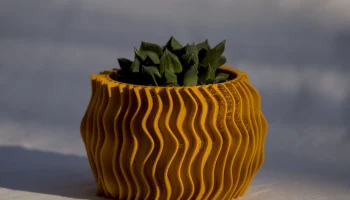 Ole pot 1