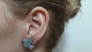 Магнитные серьги DOVE / Magnetick&eacute; n&aacute;u&scaron;nice......... 1