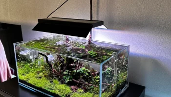 Световой экран Twinstar III 300S 1