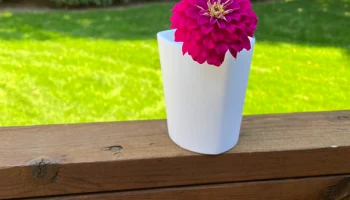 Small Vase 2