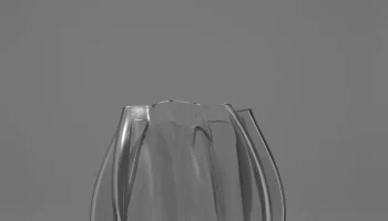 Quick Vase 6