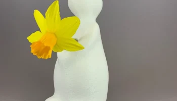 Зайка Ваза "Ваашаас"