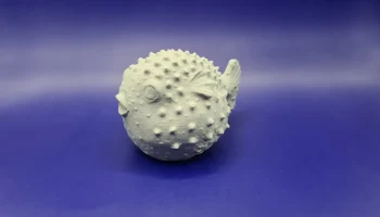 Blowfish