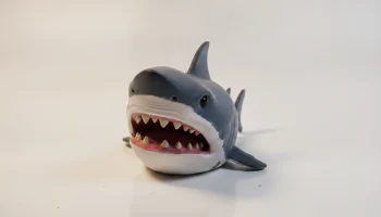 Shark