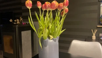 Tulip Vase