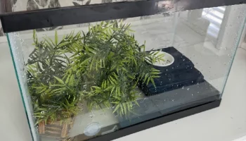 Donatello Baby Turtle Island для аквариумов на 5 галлонов... 1