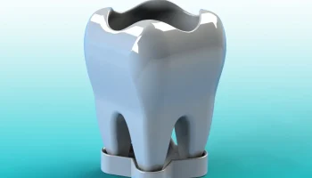 TOOTH VASE