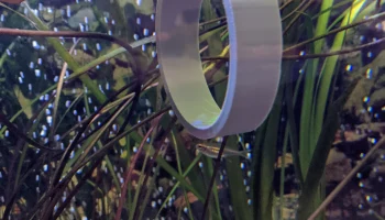 fish hoop 1