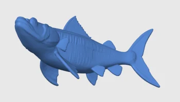 Carpa Fish 2