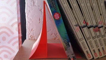 Режим вазы с подставкой для книг 2