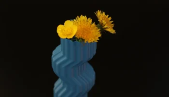 Weird vase