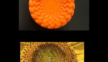 Sun Flower 2
